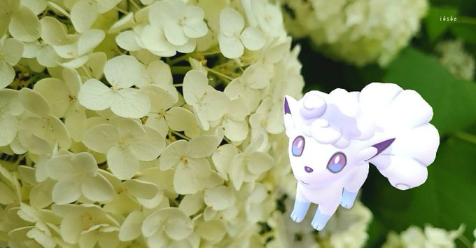 イルミーゼのtwitterイラスト検索結果 古い順