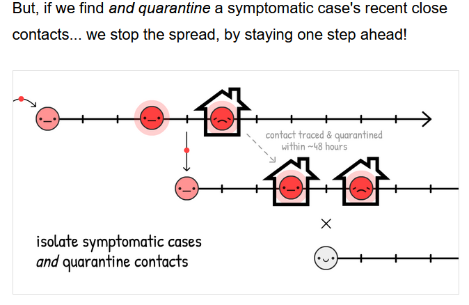 And this is the scenario with optimal contact tracing: