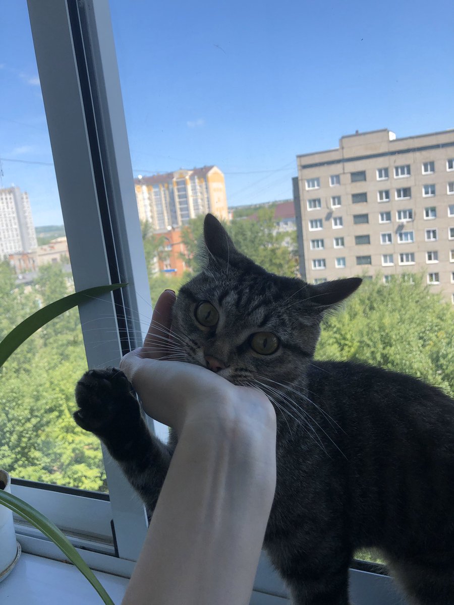 ZININA_14's tweet photo. Что нового? https://t.co/BNgWUhKULS