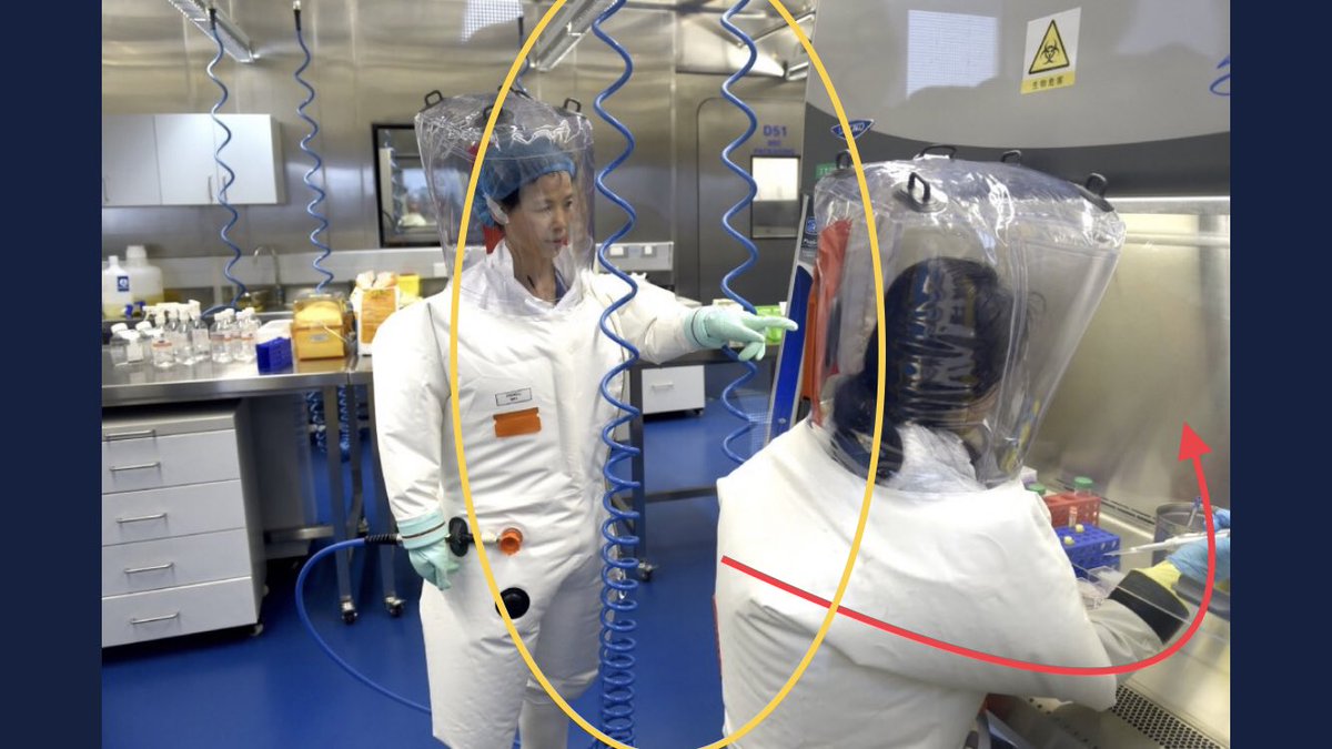 Someone claims this pic is Wuhan Lab - IDK, but it’s the level of protection you’d expect.Notice, they aren’t wearing masks... they are completely isolated from the hazards in suits. The blue hoses (in yellow circle) is supplied air.Also working in a booth (red arrow).