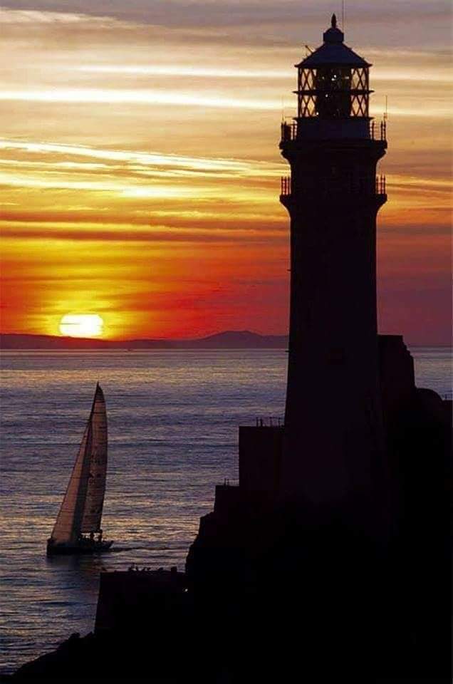 Pharoleiro's tweet photo. Fastnet Rock is a small clay-slate islet with quartz veins. It rises to about 30m above low water mark. The current #Lighthouse is the second to be built on the rock and is the tallest in Ireland.🇮🇪
Construction began in 1853, and it first produced a #light on1854. #Farol #Pharel https://t.co/fcKWn9y4lp