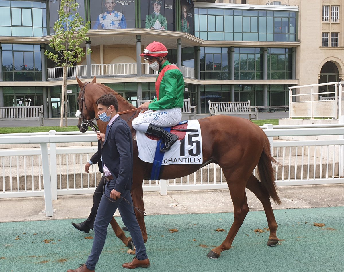 seenthestars's tweet photo. Prix du Jockey Club #OrderOfAustralia #HurricaneDream #Ecrivain #PaoAlto https://t.co/ond0zIlcBw