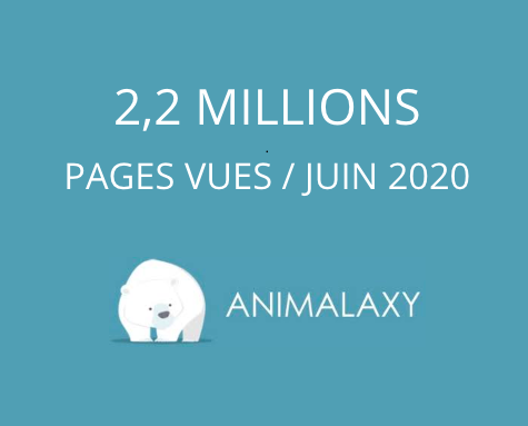 GroupEncelade's tweet photo. Triple record d'audience sur les magazines d'Encelade Media Group en juin ! 😇

- Animalaxy : 2,2 millions de pages vues
- Ma vie de chat : 1,9 million de pages vues
- Jardiner Facile : 1,9 million de pages vues https://t.co/ZbYHhcKwbC