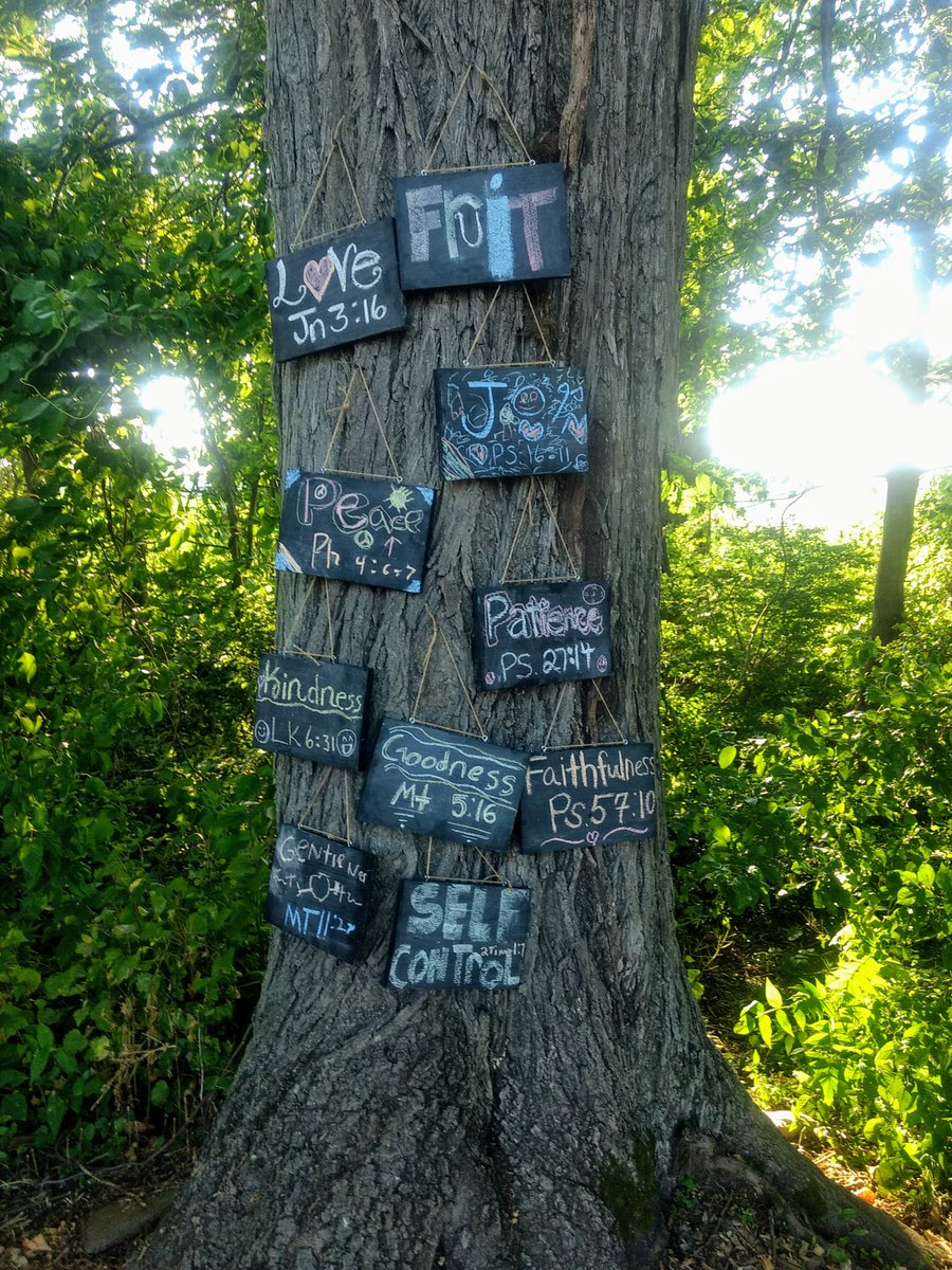 wdchapel's tweet photo. Here's that next-level Fruit of the Spirit tree Pastor Greg mentions in today's sermon. Way to go Cucchi family! https://t.co/qUXGOj0EKt