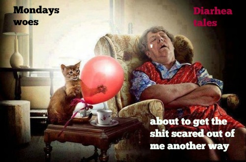 kittyguy77's tweet image. '
mondays kitties