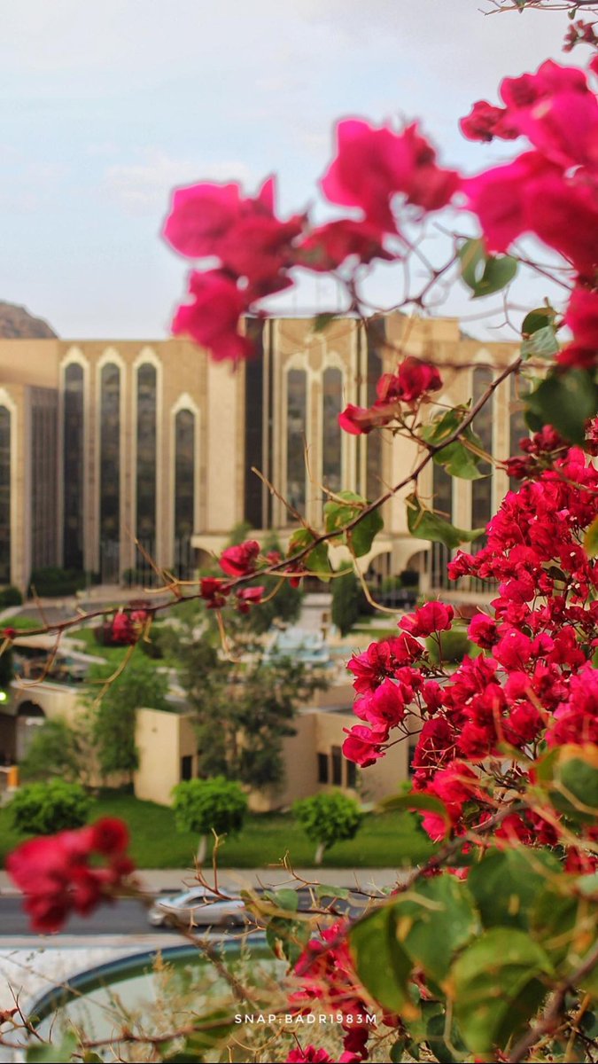 b5544a's tweet photo. صور من طبيعة الطائف 📸

#الطايف #روح_السعودية #من_تصويري https://t.co/lrIqXUJ7na