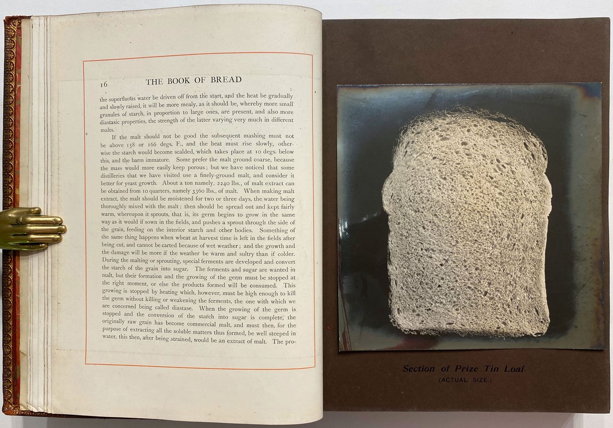 'The Book of Bread' was a technical guide for commercial bakeries, but looking at the photographs now, more than a century later, they have the quality of found art. The trade edition has printed versions of the photos, the deluxe ed. has the original silver bromide prints. 2/6