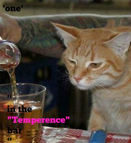 kittyguy77's tweet image. ones 'temperence 
@laura1952