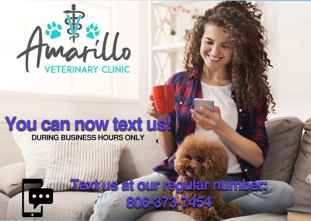 We are excited to announce you can now text us at our regular number during business hours!  You can also text from our website.  amarillovetclinic.com  #textyourvet #textus #amarillovetclinic #amarillovet #amarillovets #welovepets
