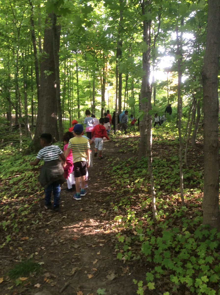 wonderstaples's tweet photo. .....I believe there isn’t anything that can’t be taught outside, embracing the concept of the ‘outdoor’ classroom may be what saves us in September ... @lizgregugo @CreativeSTAR https://t.co/62WIMFroU8