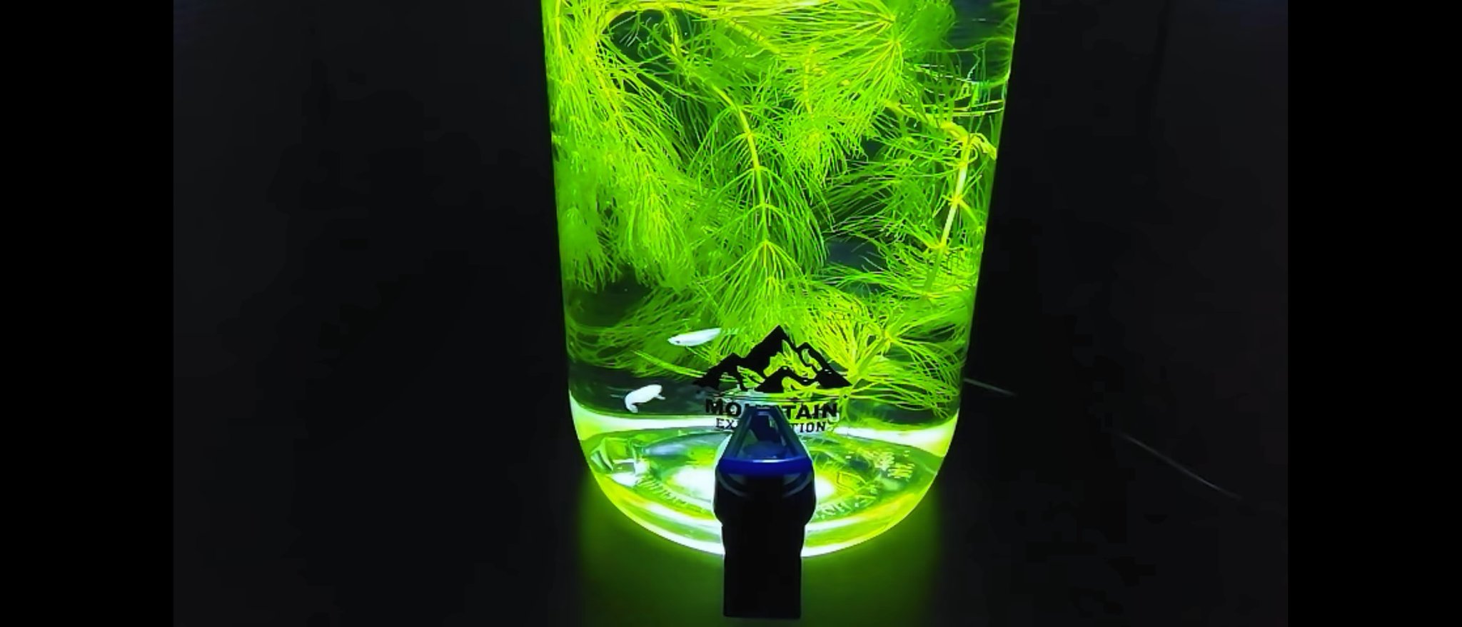 柊のあ على تويتر 自分でもこんなに気合い入れて水槽作るとは思ってなかったです W こんな3 8lのウォータージャグがダイソーで300で売ってますよ これならマツモ入れてたらメダカやアカヒレ2 3匹のボトルアクアリウム