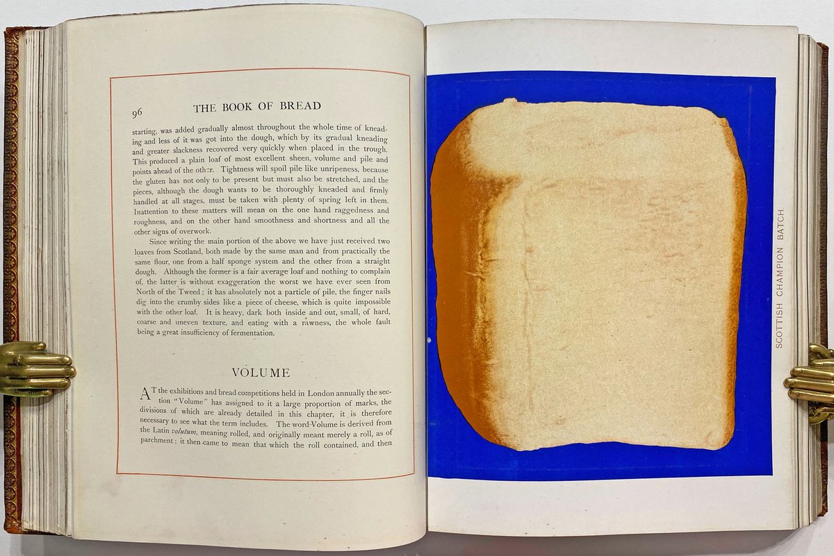 Interspersed with the silver bromide photos throughout Simmon's 1902 book are chromolithographs of complete loaves. Printed against a vivid lapis-lazuli like blue background on heavy card, these too have an other-worldly quality.  5/6