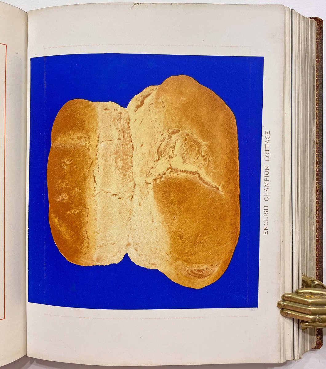 Interspersed with the silver bromide photos throughout Simmon's 1902 book are chromolithographs of complete loaves. Printed against a vivid lapis-lazuli like blue background on heavy card, these too have an other-worldly quality.  5/6