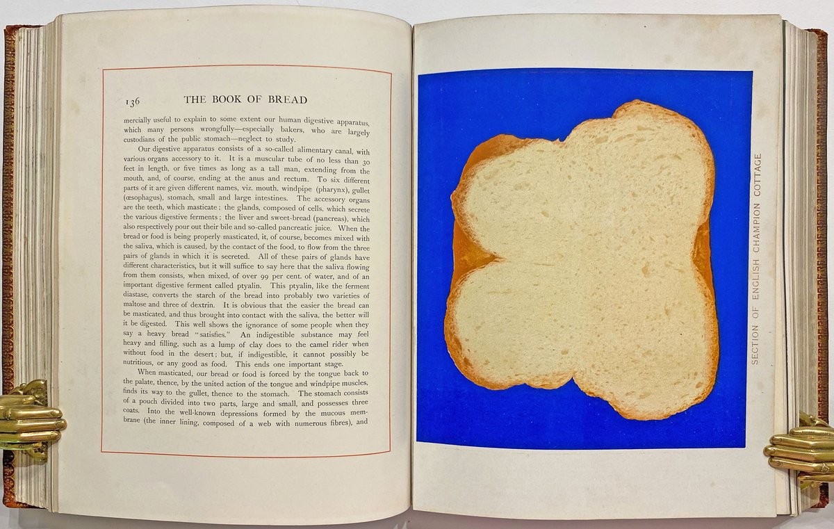 Interspersed with the silver bromide photos throughout Simmon's 1902 book are chromolithographs of complete loaves. Printed against a vivid lapis-lazuli like blue background on heavy card, these too have an other-worldly quality.  5/6