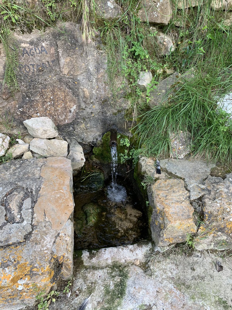Casanova_Artero's tweet photo. La Font del Mas de Calaf, Vilanova d’Alcolea (Maestrat històric). 
.
.
.
.
. El meu País no s’acaba mai♥️

#CiclismeBTT #BTT #Cabanes #DesertdelesPalmes #MTB #Bici #Sitjar #Embassament #Muntanya #Castello #Ciclismo #Bici #Bicicleta #MTB #Maestrat #PaísValencià https://t.co/CM2vjEwnYc