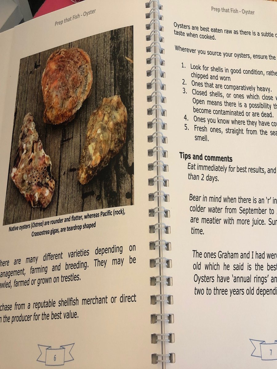 You'll find two main species of #oyster in Britain:

Native, Ostrea - rounder and flatter
Pacific/rock Crassostrea gigas - teardrop-shaped

All you need to know is in my book!
prepthatfish.co.uk/books/

#kentshellfishlady #shellfish