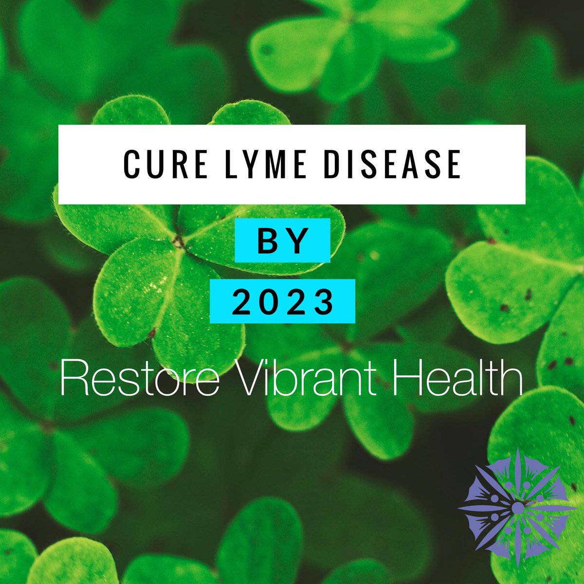 Infinity Healing (@infinity__care) on Twitter photo 