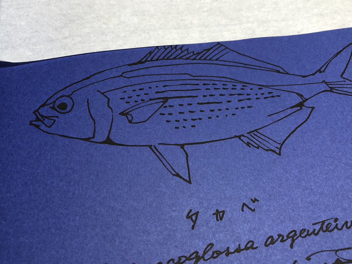 dayanlover's tweet image. とても素敵な本が届きました

長嶋祐成さまの
THE FISH 魚と出会う図鑑
( •̀ᴗ•́ )و ̑̑

まえがきのピラニアのくだり
わかる〜
ウチもそんな感じだった〜
などと思いながら読みました

少しづつ読みます
お魚が綺麗なので 読むより
見惚れてしまってます(-^艸^-)

#長嶋祐成
#THEFISH