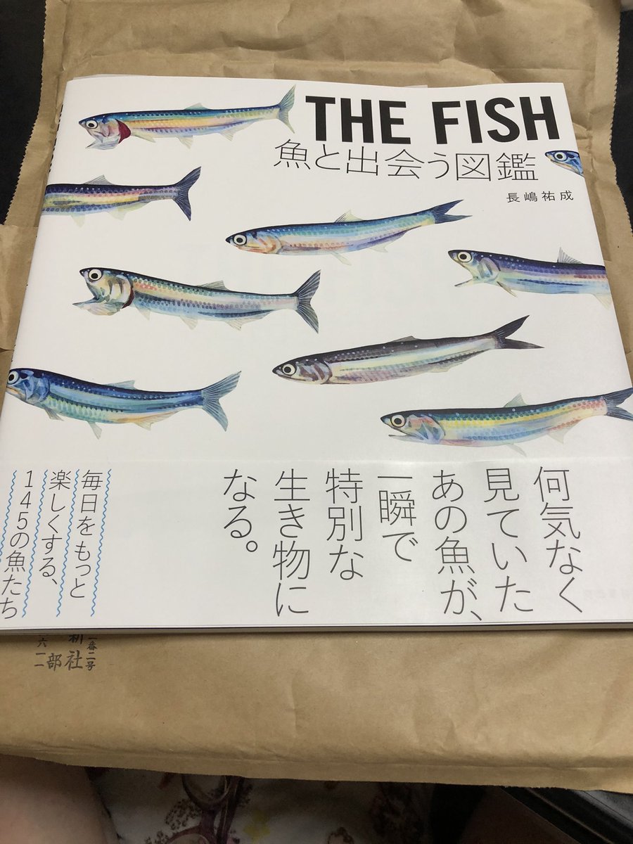 dayanlover's tweet image. とても素敵な本が届きました

長嶋祐成さまの
THE FISH 魚と出会う図鑑
( •̀ᴗ•́ )و ̑̑

まえがきのピラニアのくだり
わかる〜
ウチもそんな感じだった〜
などと思いながら読みました

少しづつ読みます
お魚が綺麗なので 読むより
見惚れてしまってます(-^艸^-)

#長嶋祐成
#THEFISH