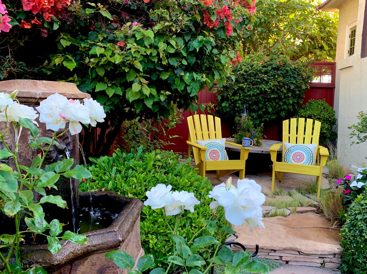 Suzi Day tweet media