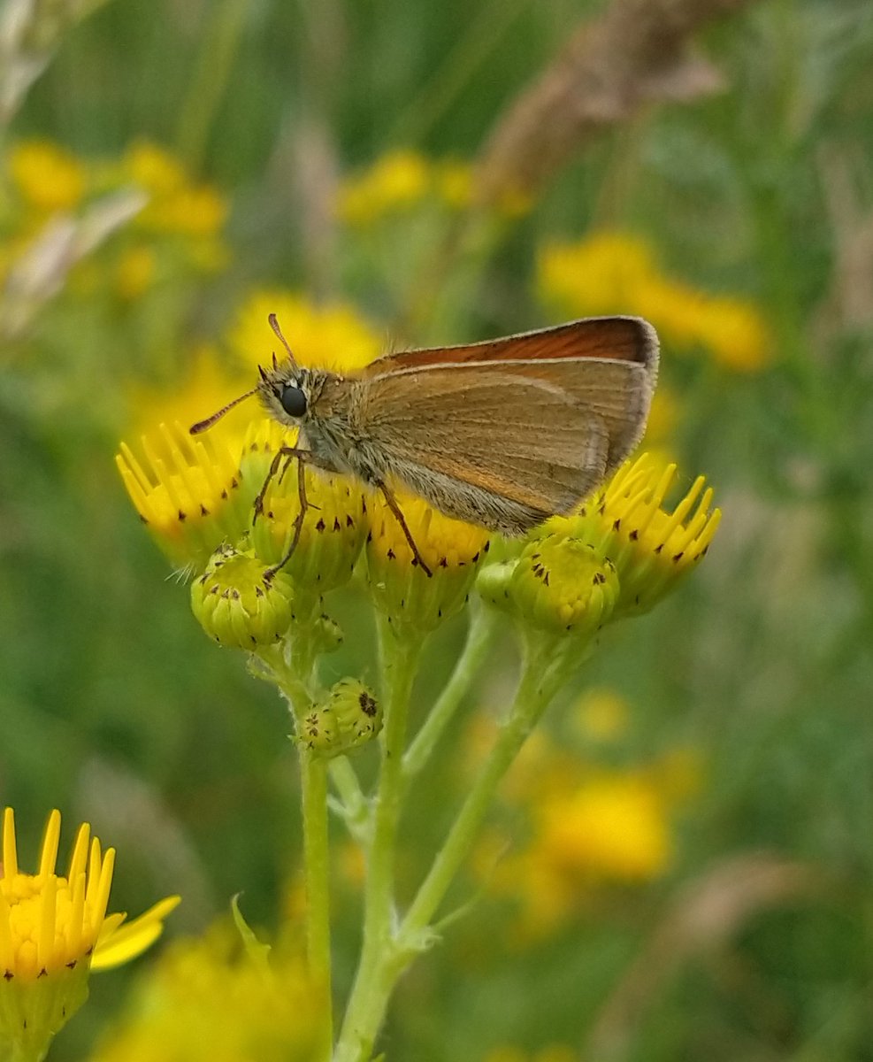 Men's Mind Gym (@brettsentance) on Twitter photo 