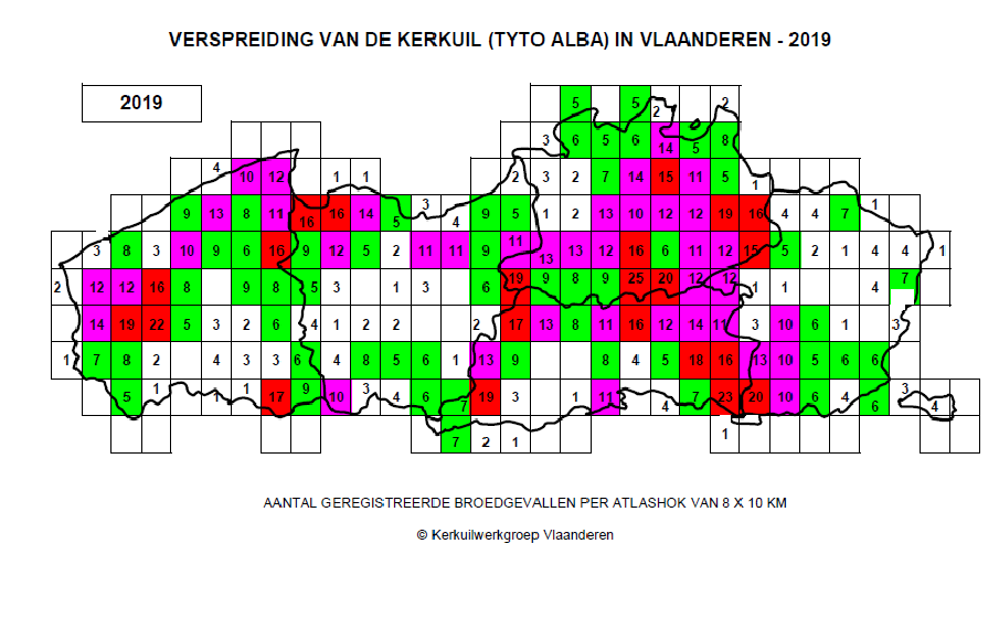 KerkuilVl's tweet photo. De Broedresutaten van 2019 staan online! 2019 was een absoluut topjaar voor de kerkuil in Vlaanderen. Met 300 broedgevallen meer dan in 2018. #kerkuil #kerkuilwerkgroepvlaanderen
https://t.co/bkkZorEe9P https://t.co/DkGtNFoQAw