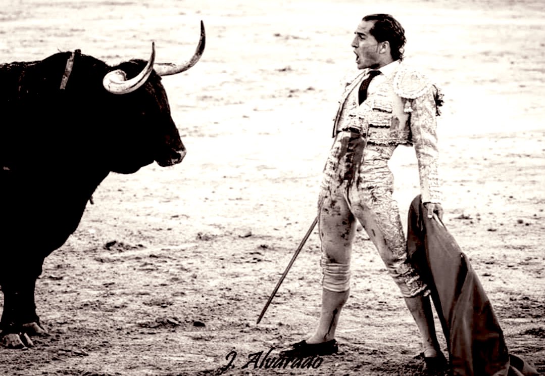 ngp_1974's tweet photo. 🦁¿Podrán mirarte todos tan de frente como tú le mirabas a la muerte cuando volvamos a vernos? 
📷: Alvarado
#Lealtad #Nuncacaminarassolo https://t.co/GZTm2R6l4s