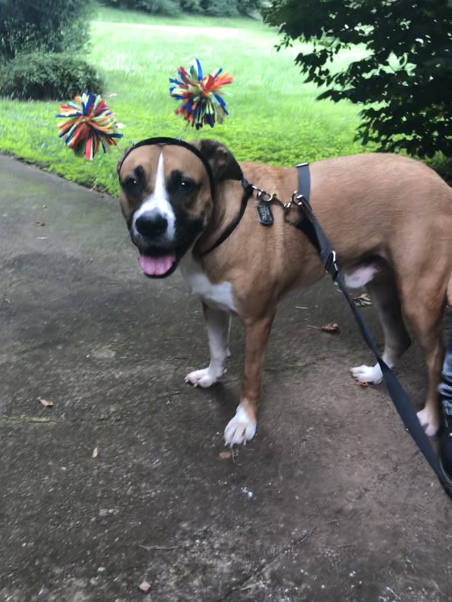 ghjojo's tweet image. Who wore it better?
RT for Roger 
Like for Micky