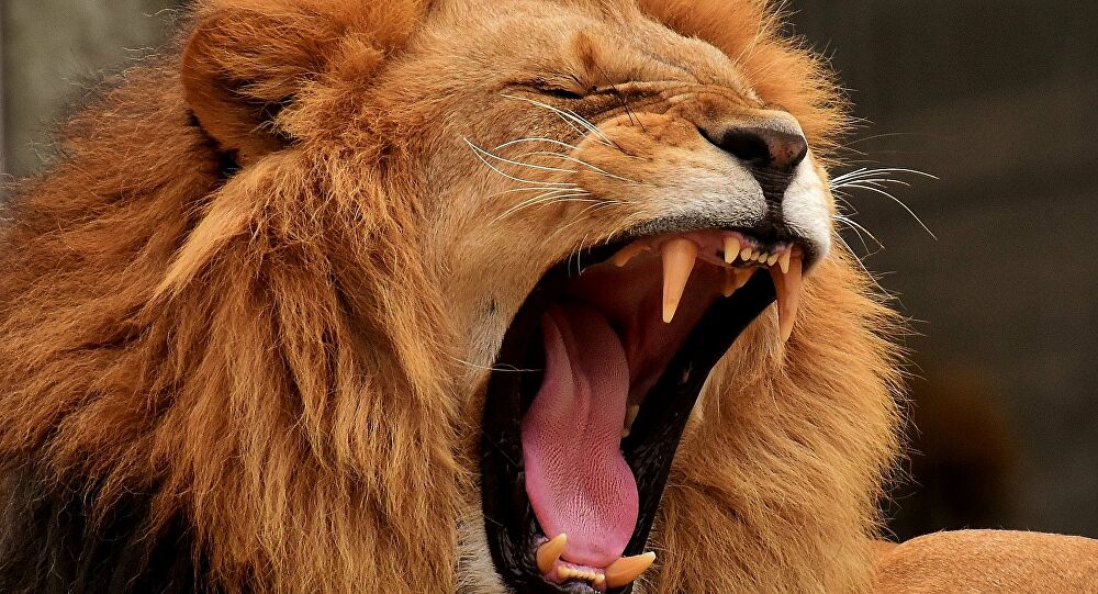 There’s this esoteric quality to microdosing.The only way to can explain it is that it managed my fear better.We’re all built with fear inside of us.I feel MD enabled me to manage the fear & these big decisions I’ve been putting off.There was less hesitation. More trust.