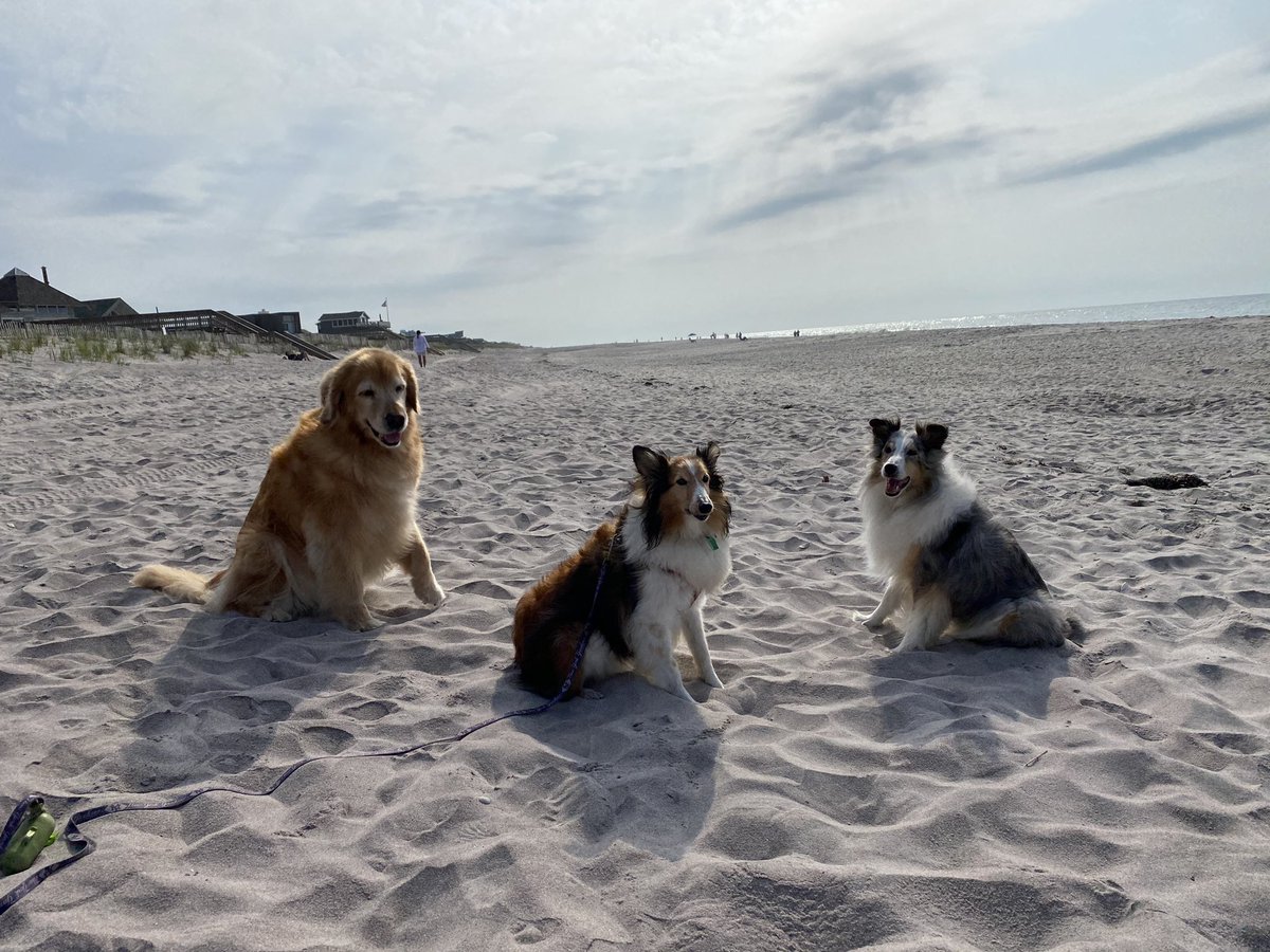 Thinks Wife tweet media