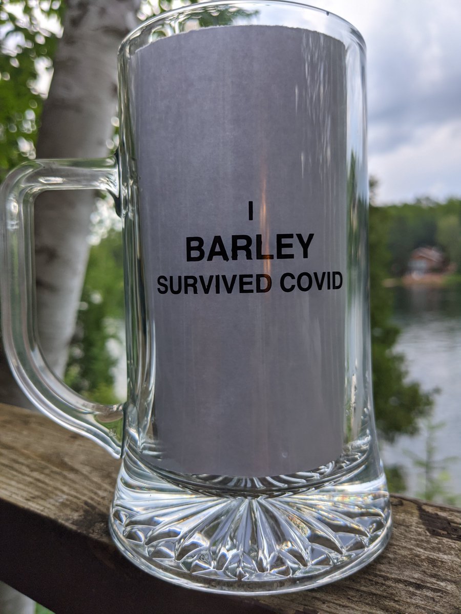 They are here! OUR LIMITED EDITION, 2020 NORTH ON TAP "I BARLEY SURVIVED COVID" 170z GLASS BEER STEINS! For all the info and to purchase yours before we sell out, visit us at northontap.ca/store