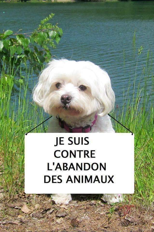 Ludovic_1990's tweet photo. ❤❤❤❤❤❤❤❤❤❤ https://t.co/2S9YJeT3HX