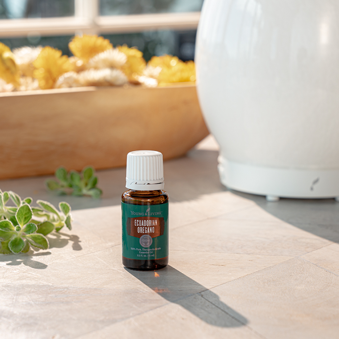 youngliving's tweet photo. If you love the soft, herbaceous scent of Oregano but need similar properties to Peppermint, R.C., or Cool Azul, Ecuadorian Oregano is just for you! #yleo https://t.co/873LYj1BBB https://t.co/hfcd2lKZEj