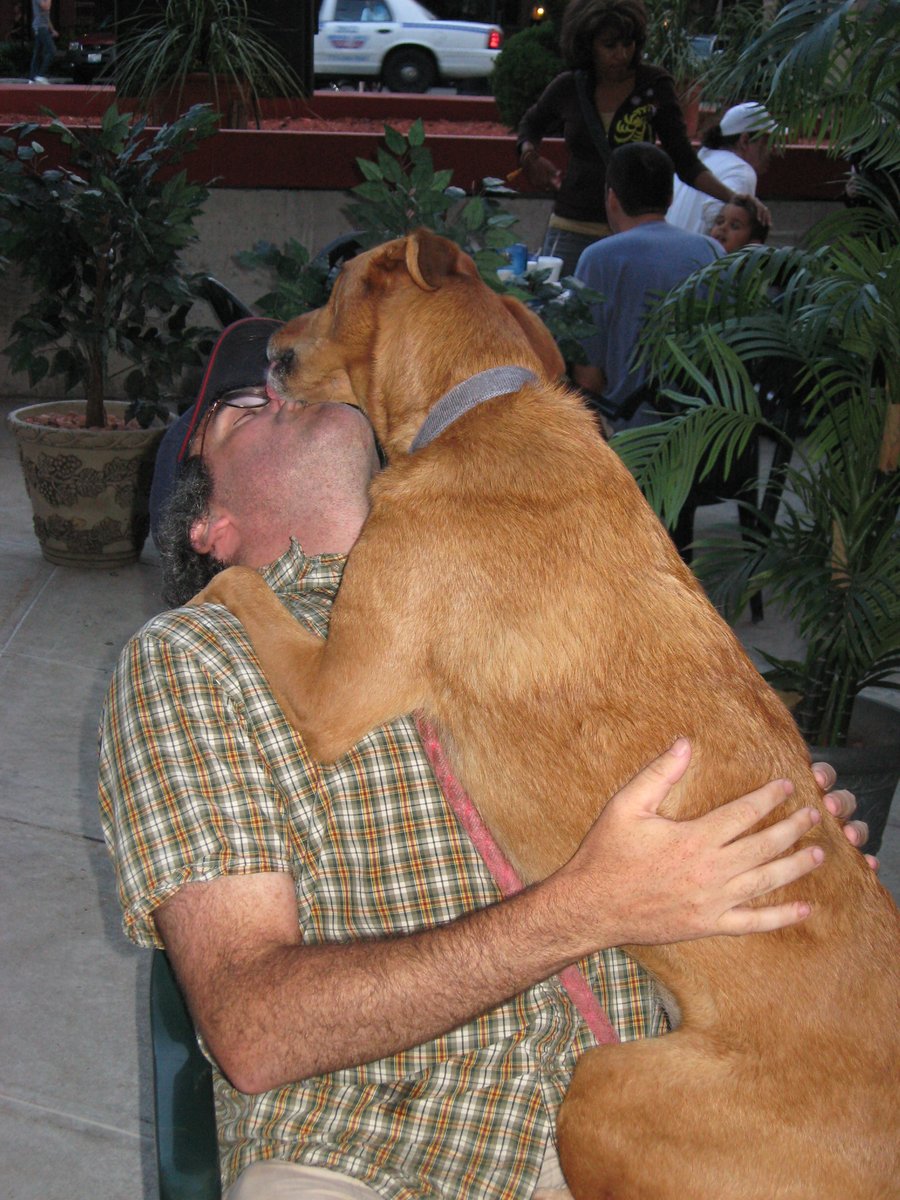 zemanation's tweet photo. ~ Jan 2005 - born

11/8/05 - rescued

We shared meals, runs (12 miles!), double dates, pro-winter &amp; anti-leash beliefs. 

Never could get him to be the big spoon.

7/3/20 - his legs had nothing left

14 years, 7 months &amp; 26 days of precisely the right amount of affection https://t.co/FHS3lUZQqM