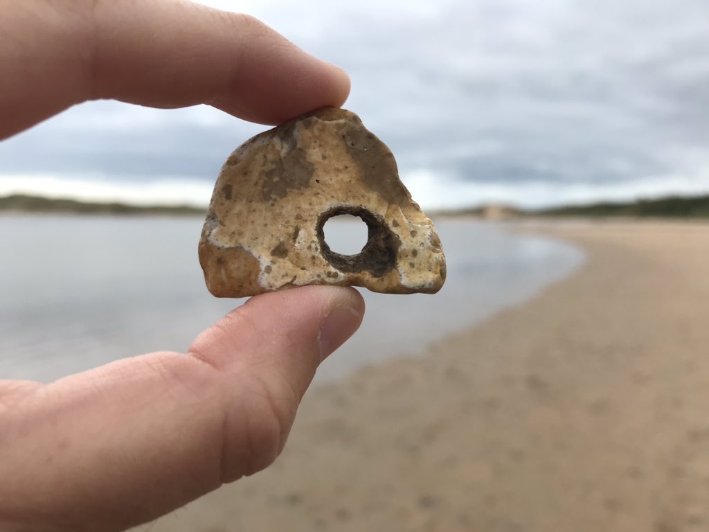 SaltwaterlifeUK's tweet photo. Found my first #adderstone aka #hagstone #witchstone on the beach! I love the mythology associated with these stones! 🐍 🧙‍♀️ @RobGMacfarlane @NaturalistDara https://t.co/oVqkO7e7zx