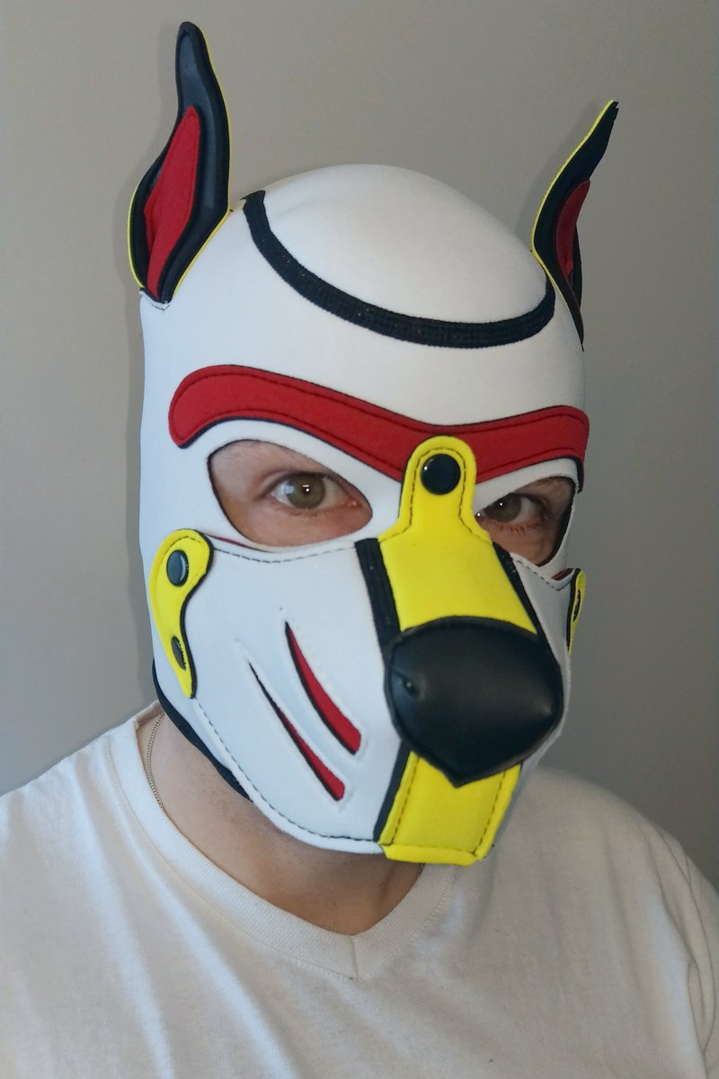 Awroooououo! 🐾 And this is also me. Wanna play? 

#pup #puppy #petplay #pupplay #puppylove #humanpup #humanpuppy #puppycologne #gaygermany #gaycologne 
#pupdexter #dogplay #gaypup