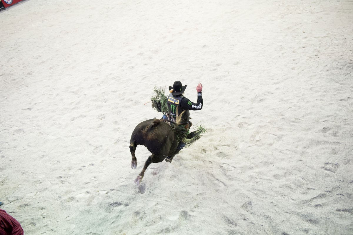 PBR's tweet photo. The art of dragon slaying. 🐉
#MauneyMonday | @jbmauney https://t.co/oE2JMhr5CZ