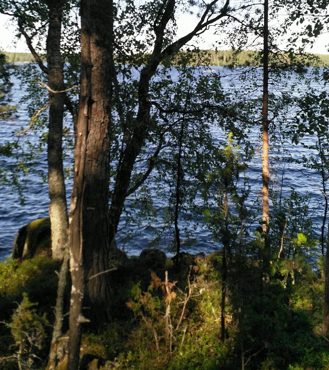 Maanantaina Pakkalaan! Saimaan Rastiviikko jatkuu. Viikon 2. päivä - ja Saimaakin saattaa reitillä pilkottaa🙂 Lue ennakko bit.ly/3izDtr9 ja sitten maastoon. Palkintojakin on jaossa koko rastiviikon ajan! #suunnistus #kuntosuunnistus #saimaanrastiviikko #maanantairastit