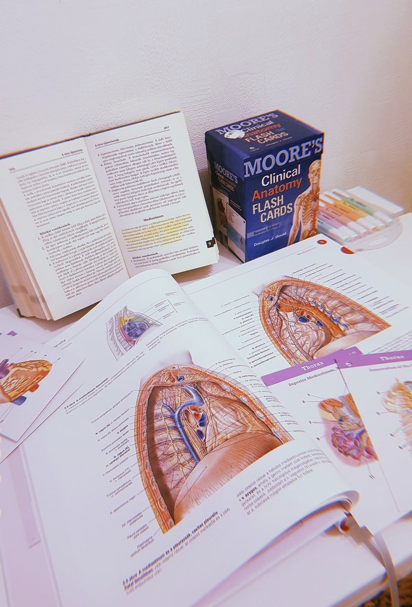 KarlaM_Hdz's tweet photo. Abro hilo de paginas de donde puedes descargar libros del área de la salud, que he usado personalmente y obvio me han funcionado... https://t.co/tmLkE0iDIc