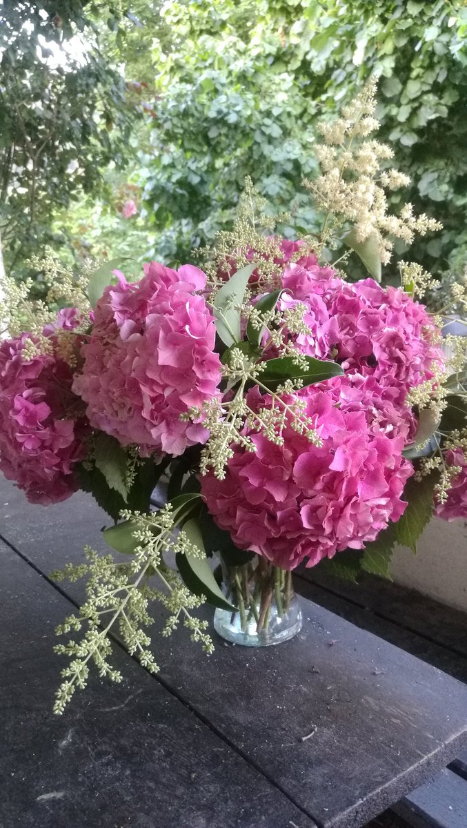 fiftycb's tweet photo. .. E sul far della sera #hidrangea e #ligustrum #mygarden #mybouquet #myflowers #apine https://t.co/8qEuhe8bDq