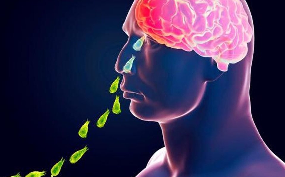 Florida confirma nuevo caso de la ameba "come cerebros" mile.io/2NVKzrU