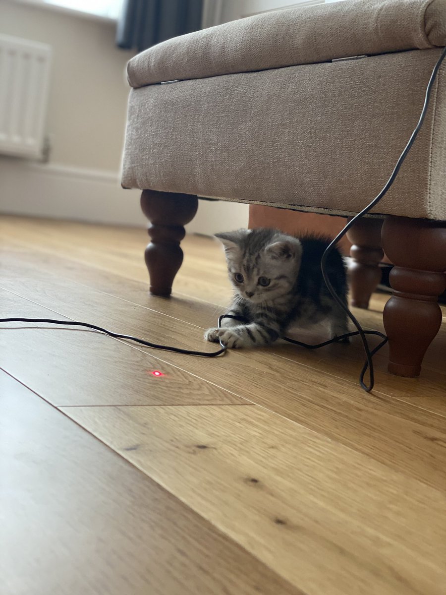 _barnaby's tweet photo. @TheTeawrex https://t.co/dLXuLE1L4E