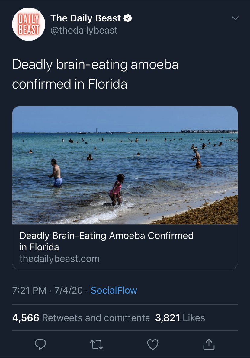 spongefacts_alt's tweet photo. Eating brains? In Florida? Yeah that thing is gonna starve lmao https://t.co/EjE3eJzU66