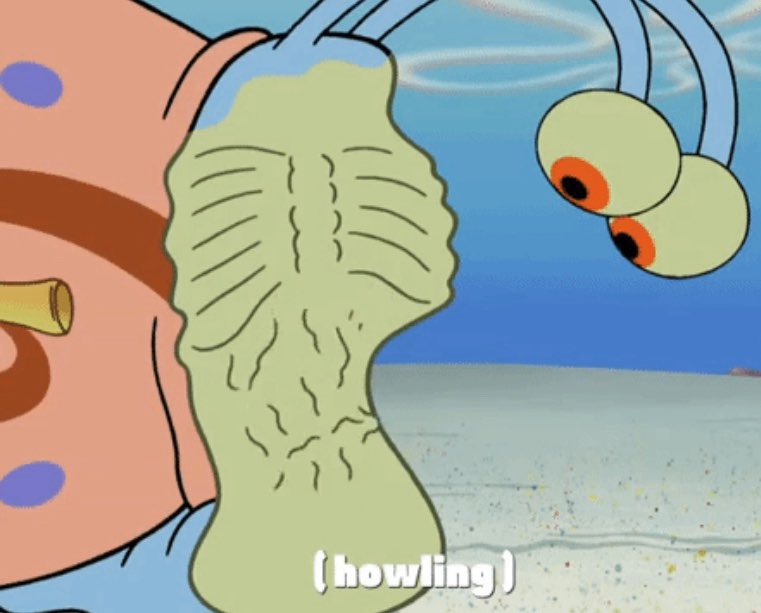 spongefacts_alt's tweet photo. Eating brains? In Florida? Yeah that thing is gonna starve lmao https://t.co/EjE3eJzU66