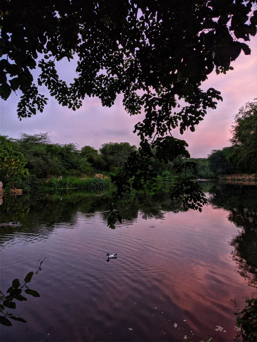 'If there is magic on this planet, it is contained in water.'

#lake
#nature 
#travel 
#photography 
#naturephotography 
#water 
#sunset 
#wanderlust 
#naturelovers 
#lakelife 
#cloudporn 
#skyporn 
#sunsetsky 
#naturehub
#igersnature
#skylovers 
#clouds 
#evenings
#pinksky