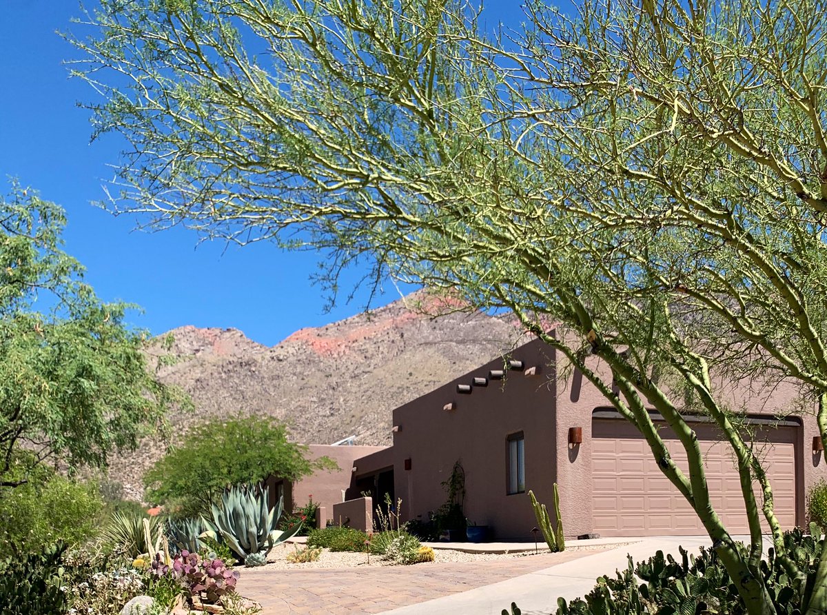 totallytucson's tweet photo. Happy Sunday, #Tucson! 102 and sunny today. Easy Sunday morning drive in #VentanaCanyon foothills where homes were directly under the line of the #BighornFire in the #Catalinas. #staysafe #maskup #visittucson https://t.co/2gxkpXOsHk