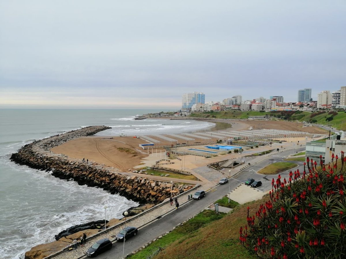 dzapatillas's tweet photo. En Mar Del Plata ya se puede ir a surfear. #LeyesDelMundoToday (ph. Jonas) https://t.co/s47LFhMQZO