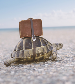 PollinGroup's tweet photo. Who is ready to pack their suitcase and travel? #ShareYourTravels https://t.co/DrutP2VECh