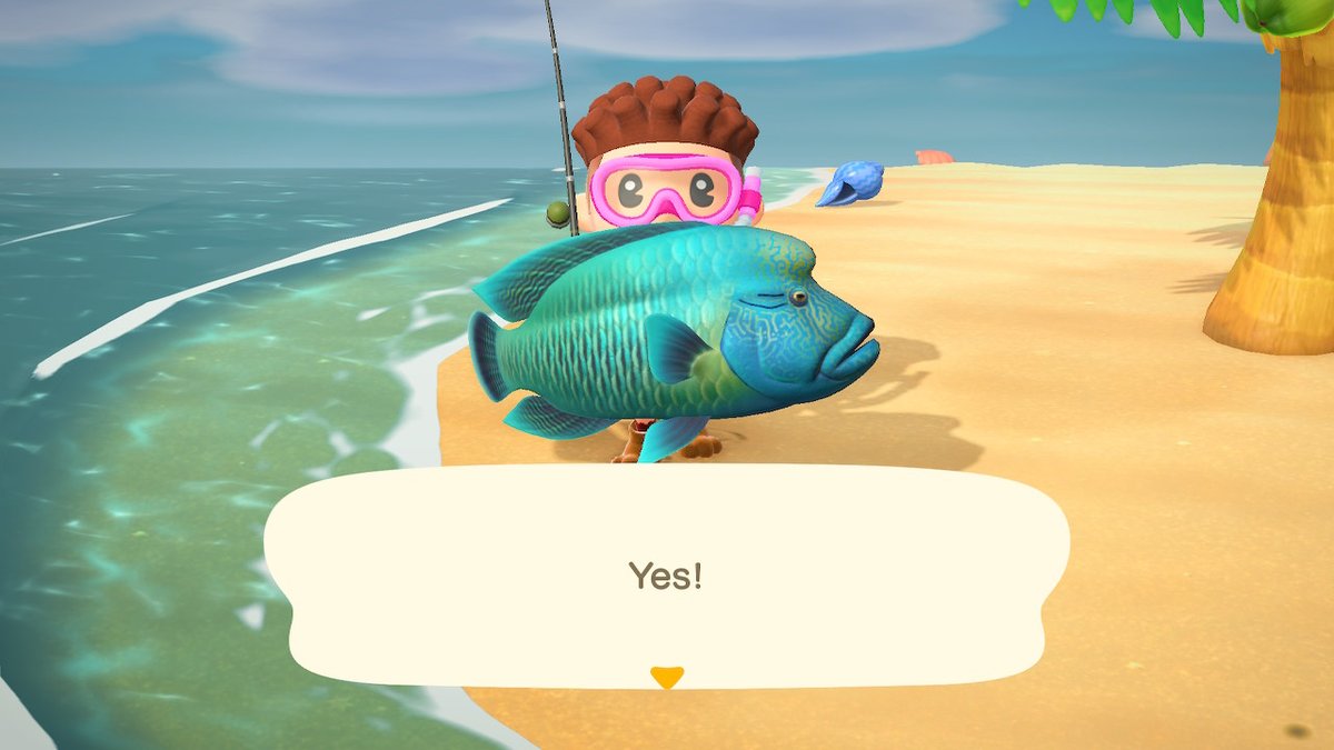 AAceville's tweet photo. catch of the day  #AnimalCrossing #ACNH #NintendoSwitch https://t.co/aalKdHndl9