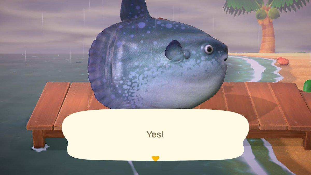 AAceville's tweet photo. catch of the day  #AnimalCrossing #ACNH #NintendoSwitch https://t.co/aalKdHndl9